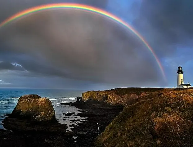 Summer Wind Budget Motel hotel detail image 4