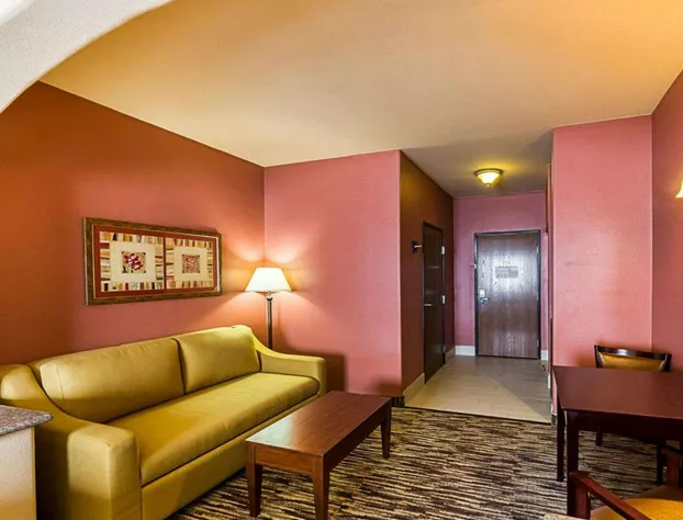 Comfort Suites McAllen hotel detail image 4