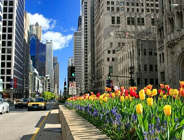 Silversmith Hotel Chicago Downtown hotel detail image 1