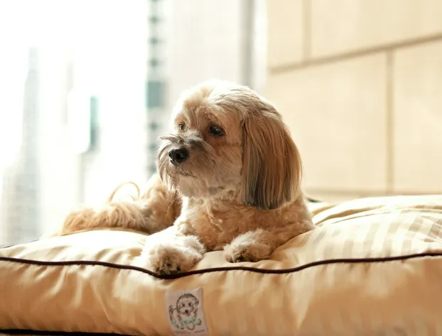 Hyatt Regency Calgary hotel detail image 3