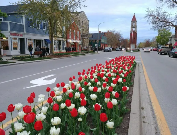 Historic Wilson-Guy House hotel detail image 4