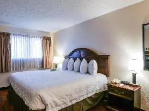 Olentangy Motor Inn hotel detail image 2