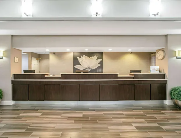 La Quinta Inn & Suites by Wyndham DFW Airport South / Irving hotel detail image 4