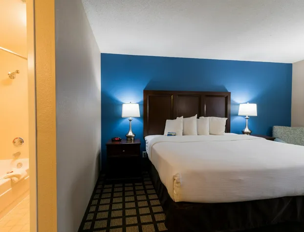 Baymont by Wyndham Detroit Airport/Romulus hotel detail image 4