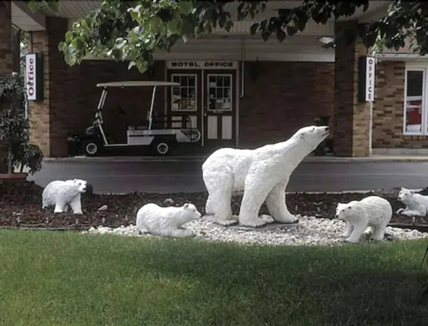 Ivy Rose Motor Inn hotel detail image 2