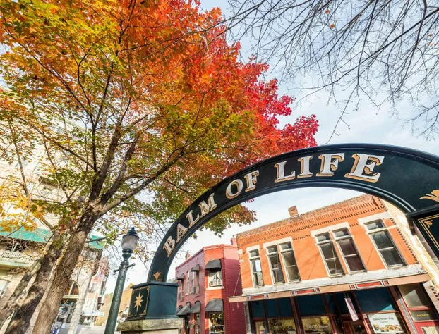 Basin Park Hotel and Spa hotel detail image 2