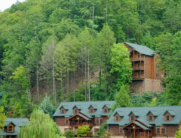 Westgate Smoky Mountain Resort & Water Park hotel detail image 3