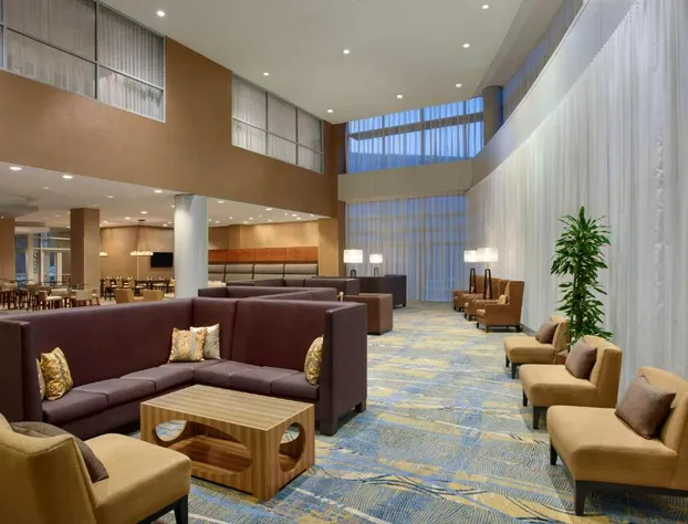 Hilton Baltimore BWI Airport hotel detail image 1