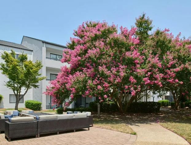 Courtyard Charlotte Arrowood hotel detail image 1