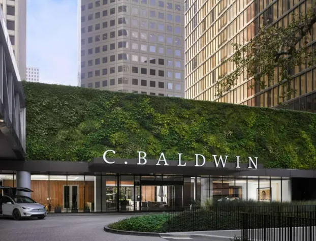 C. Baldwin, Curio Collection by Hilton hotel detail image 1