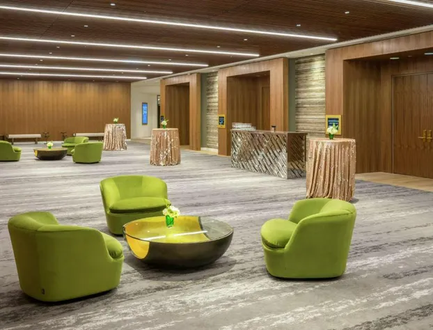 C. Baldwin, Curio Collection by Hilton hotel detail image 4