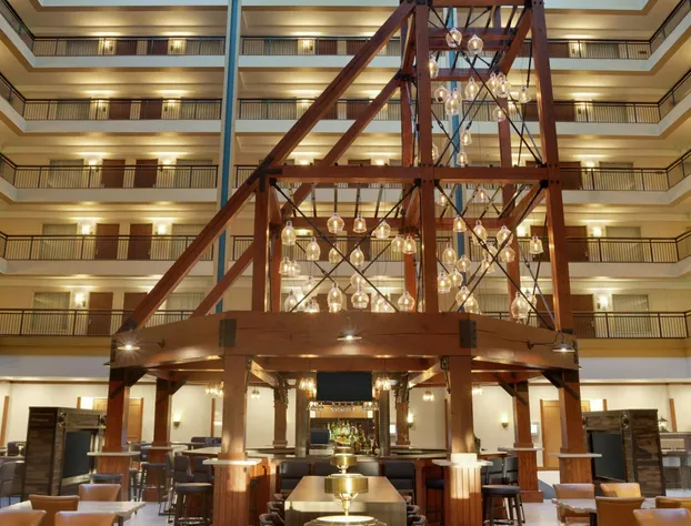 Embassy Suites by Hilton Denver International Airport hotel detail image 4