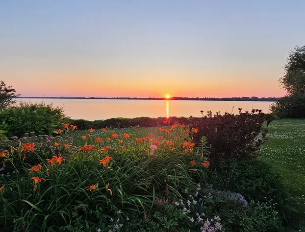 Hotel Oasis Lac StLouis hotel detail image 4