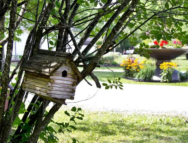 Auberge Papillon Lune hotel detail image 1