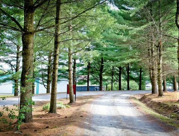 Auberge Papillon Lune hotel detail image 3