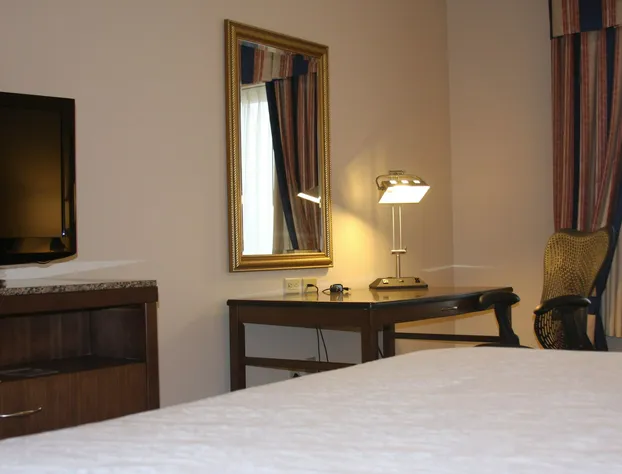 Hilton Garden Inn Elmira/Corning hotel detail image 4