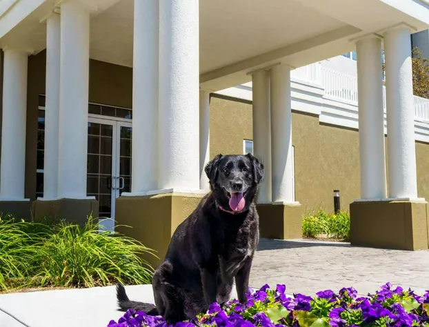 Homewood Suites Erie hotel detail image 3
