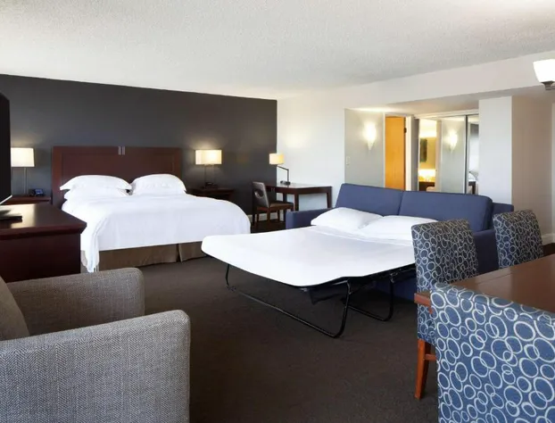 Hilton Houston NASA Clear Lake hotel detail image 2