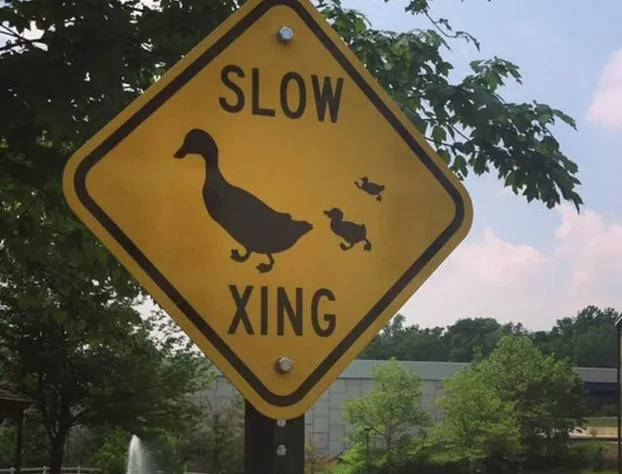 Hampton Inn Manheim hotel detail image 2