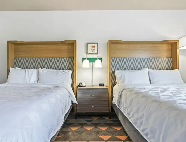 Holiday Inn St. Petersburg West by IHG hotel detail image 4