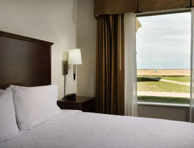 Hampton Inn Suites Altus hotel detail image 3