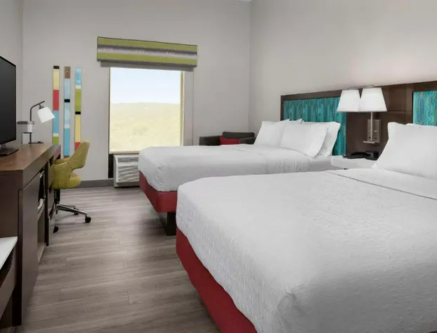 Hampton Inn Birmingham I-65/Lakeshore Drive hotel detail image 3