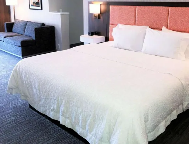 Hampton Inn Williamsport-Downtown hotel detail image 3