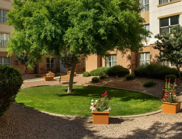 Residence Inn by Marriott Phoenix Airport hotel detail image 2