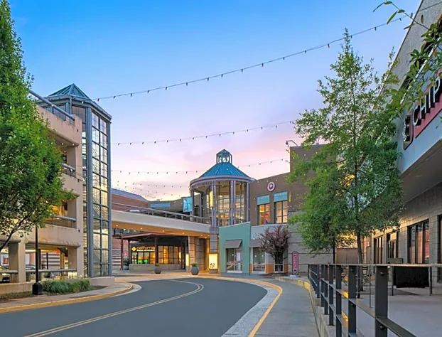 Residence Inn by Marriott Tysons hotel detail image 2