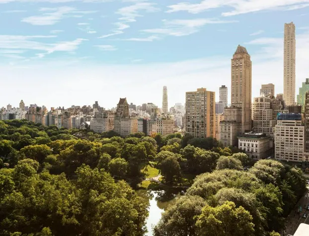 The Ritz-Carlton New York, Central Park hotel detail image 1