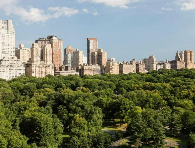 The Ritz-Carlton New York, Central Park hotel detail image 2