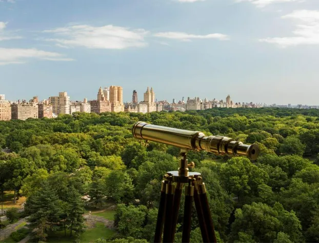 The Ritz-Carlton New York, Central Park hotel detail image 3