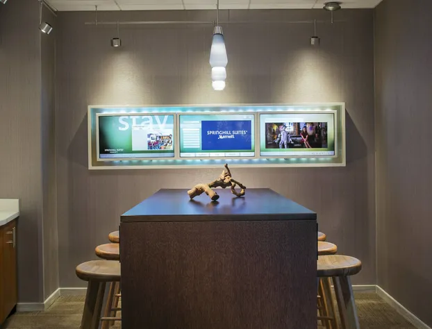 Springhill Suites By Marriott Chicago Lincolnshire hotel detail image 4