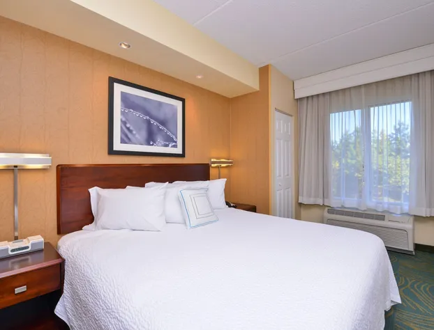 SpringHill Suites by Marriott Arundel Mills BWI Airport hotel detail image 3