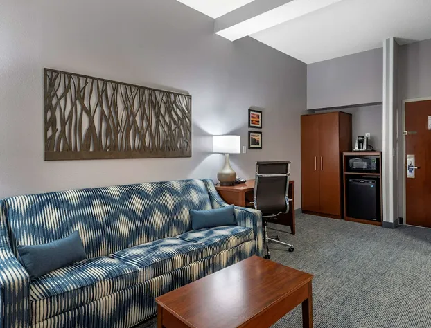 Comfort Suites near Birkdale Village- Huntersville hotel detail image 1