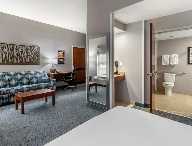 Comfort Suites near Birkdale Village- Huntersville hotel detail image 2