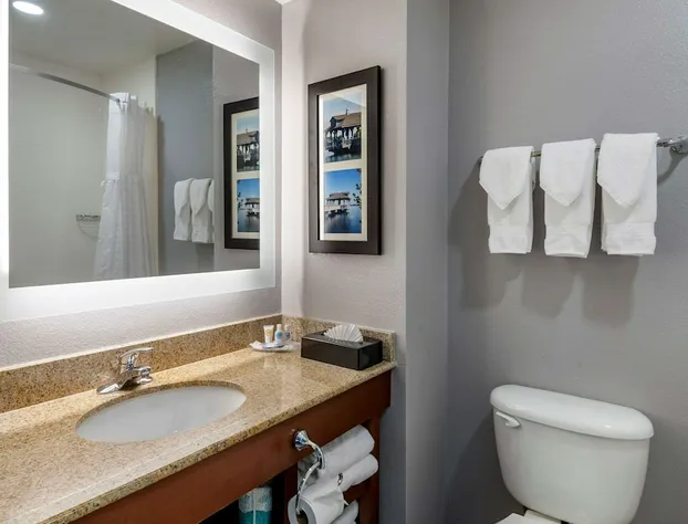 Comfort Suites near Birkdale Village- Huntersville hotel detail image 4