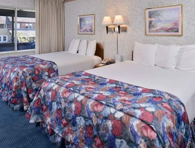 evo Hotel Tahoe City hotel detail image 4