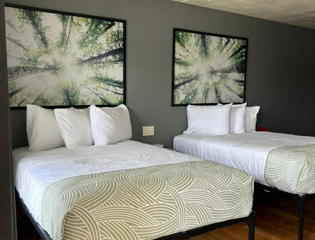 Valued Stay Mayflower hotel detail image 4