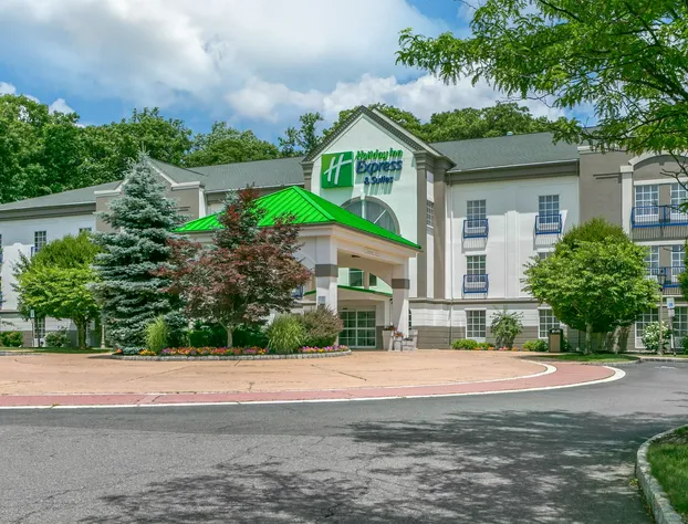Holiday Inn Express Hotel & Stes Mt. Arlington Rockaway Area by IHG hotel detail image 1