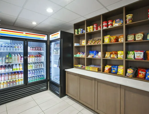 Holiday Inn Express Hotel & Suites Auburn Hills by IHG hotel detail image 4