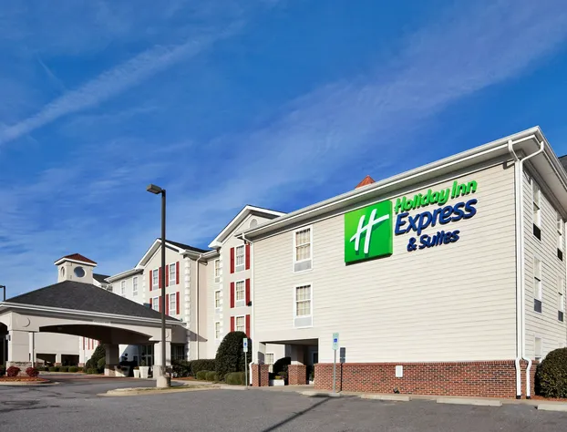 Holiday Inn Express Hotel & Suites Conover (Hickory Area) by IHG hotel detail image 2