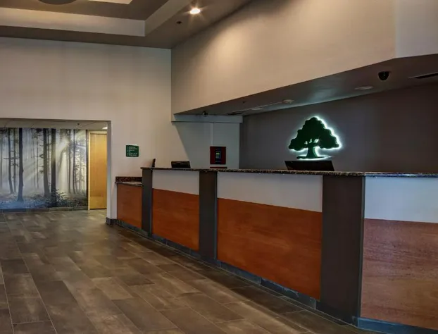 GreenTree Inn Albuquerque hotel detail image 4