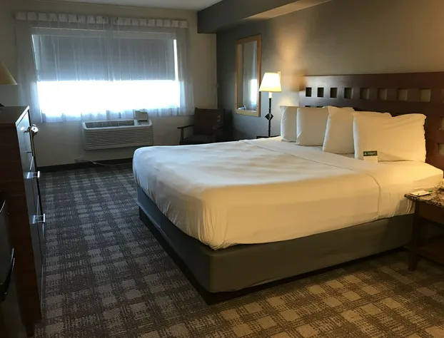 Best Western North I-25 Hotel hotel detail image 4