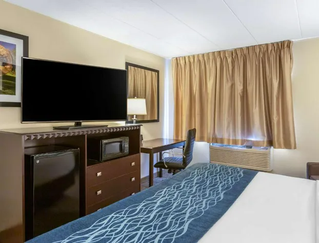 Comfort Inn Grand Rapids Airport hotel detail image 1