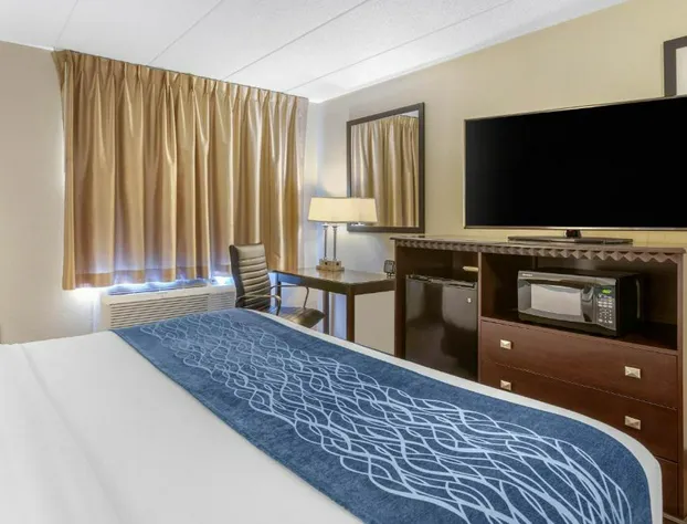 Comfort Inn Grand Rapids Airport hotel detail image 2
