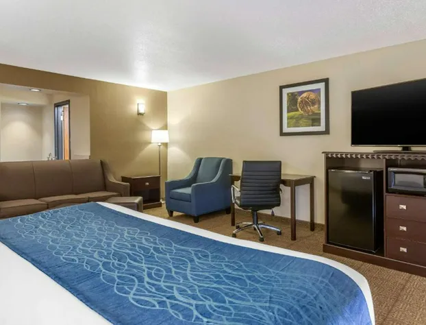 Comfort Inn Grand Rapids Airport hotel detail image 3