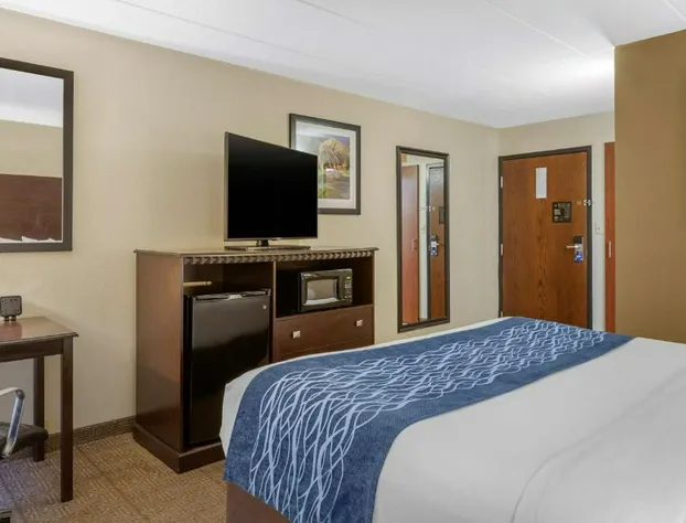 Comfort Inn Grand Rapids Airport hotel detail image 4