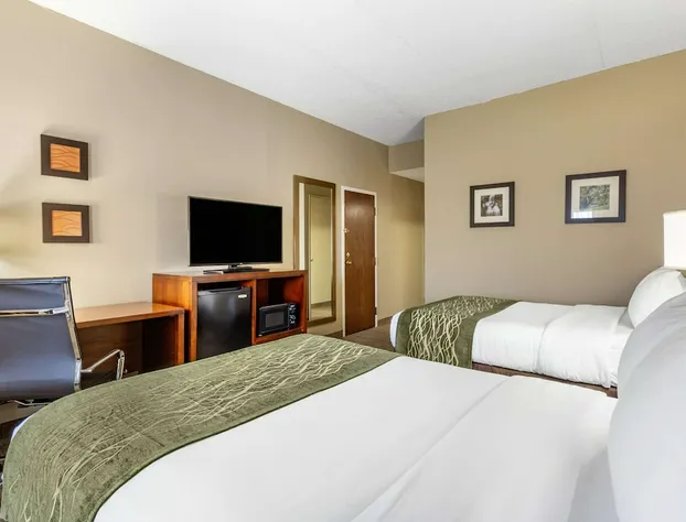 Comfort Inn Aikens Center hotel detail image 3