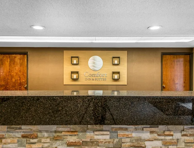 Comfort Inn & Suites Denver Northfield hotel detail image 2